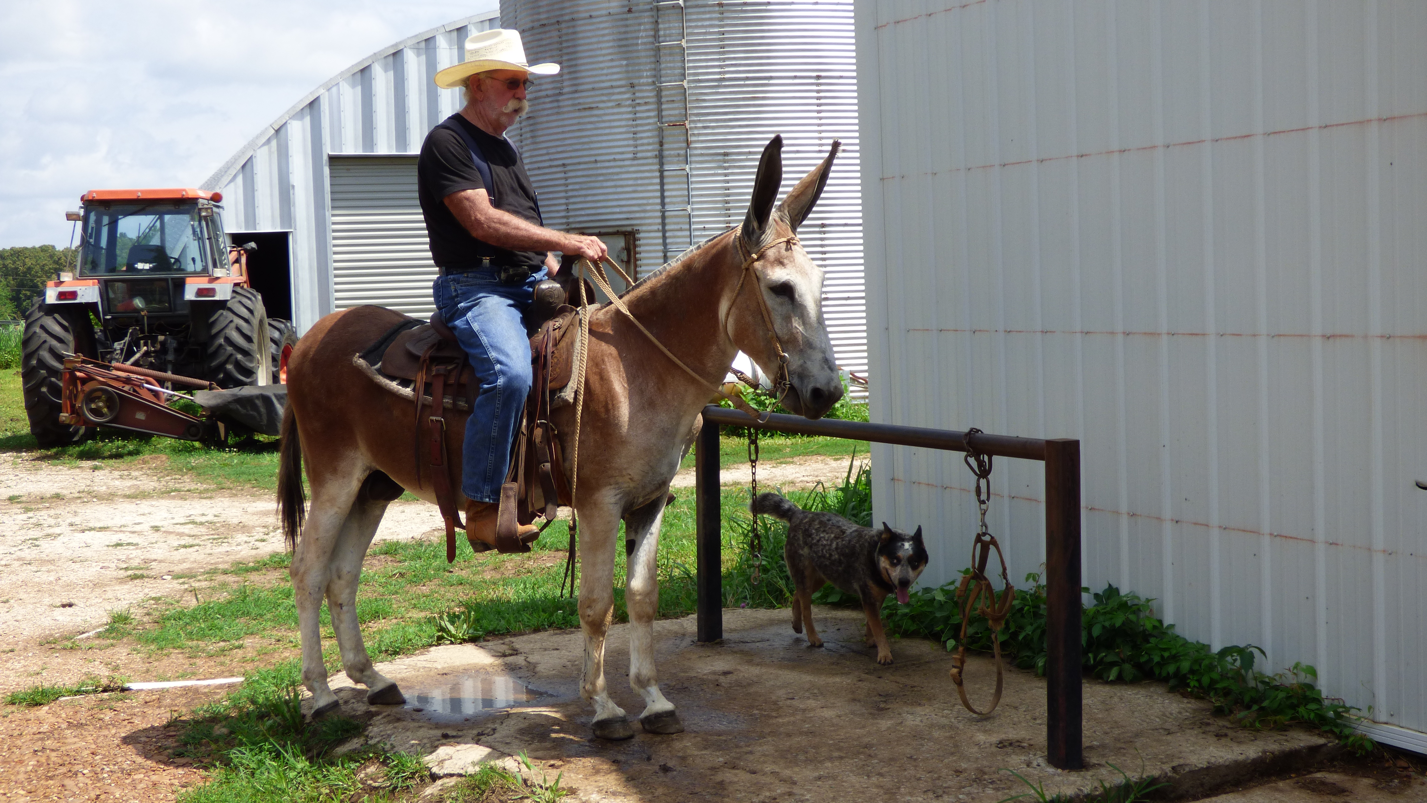 Don Rides Jackson